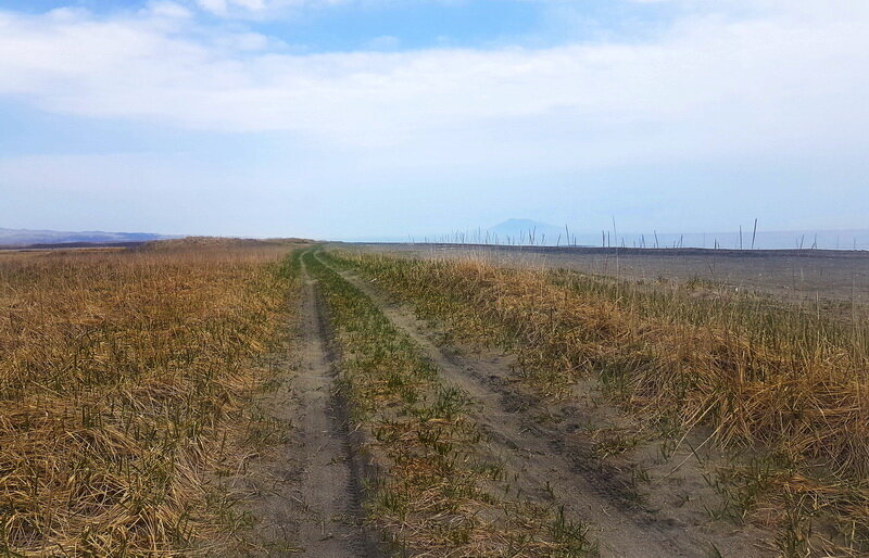 Эта часть полуострова сильно заболочена. По сути это большая 12-ти километровая песчаная коса, густо поросшая травой среди болот, намываемая последние 2000 лет в сторону Японии грунтом от размыва северных берегов Кунашира. По этой дороге и пролегает наш путь к маяку. 