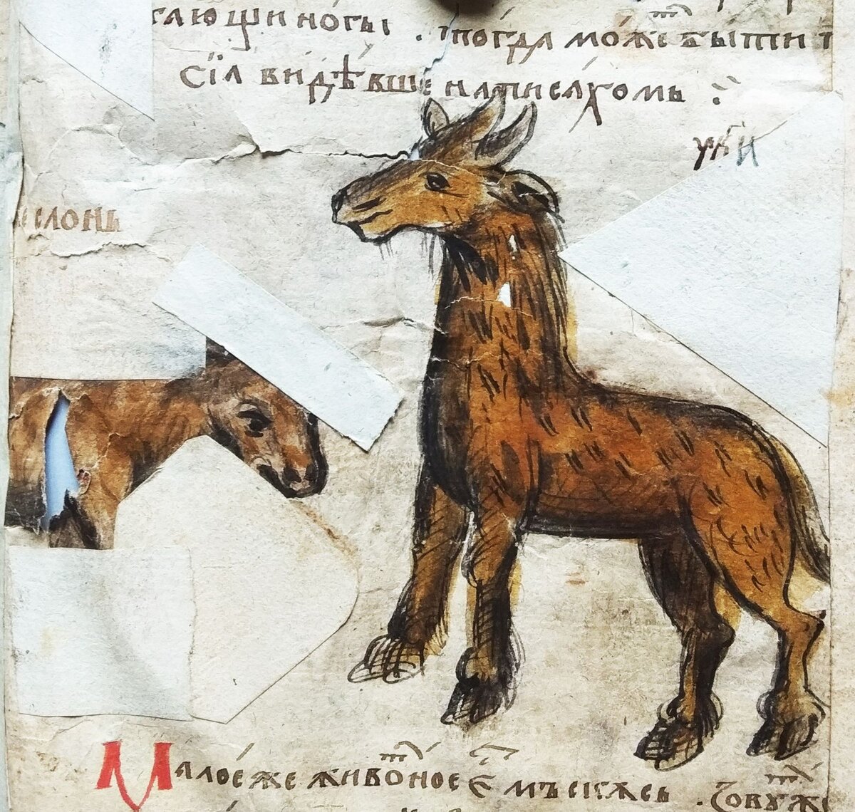 Христианская топография.  XVI в. Погод. 1089, л. 428