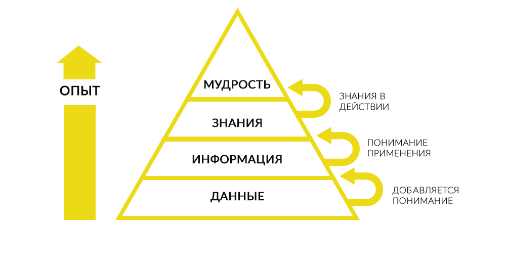 Карта мудрость процент