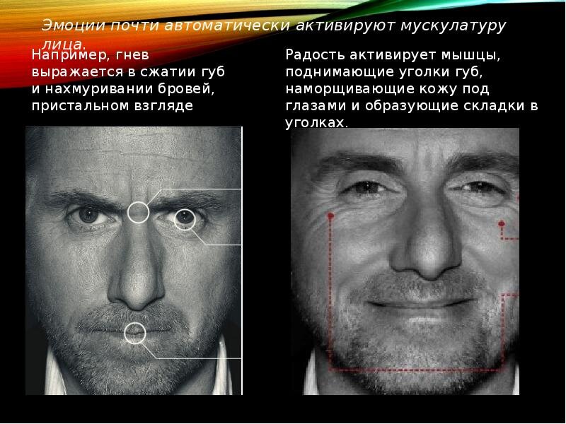 Проект на тему теория лжи