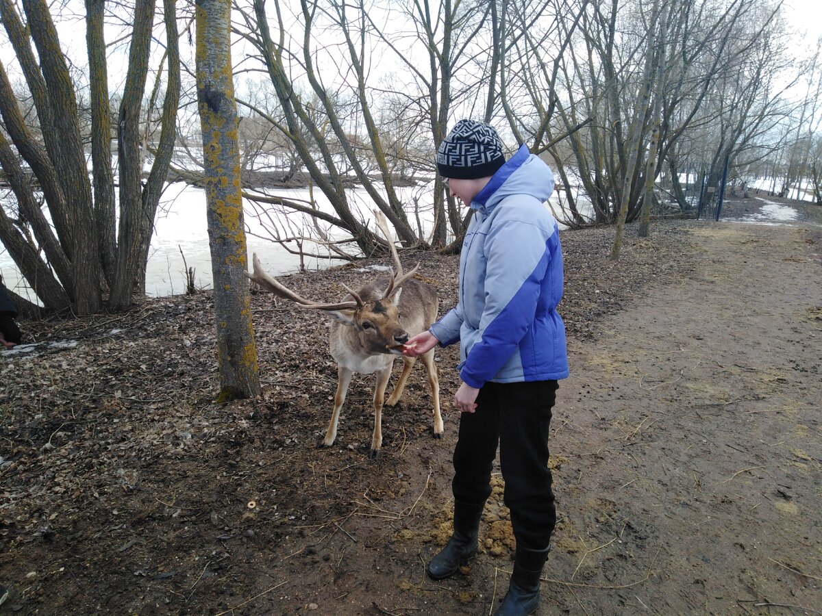 Я даю ланю кусочек хлеба. Лань не против :)