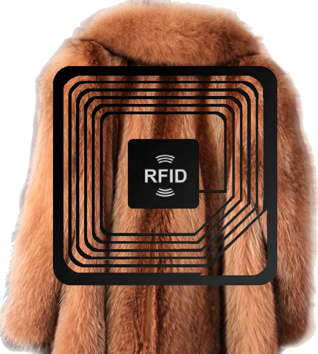 Фото: Пример RFID метки