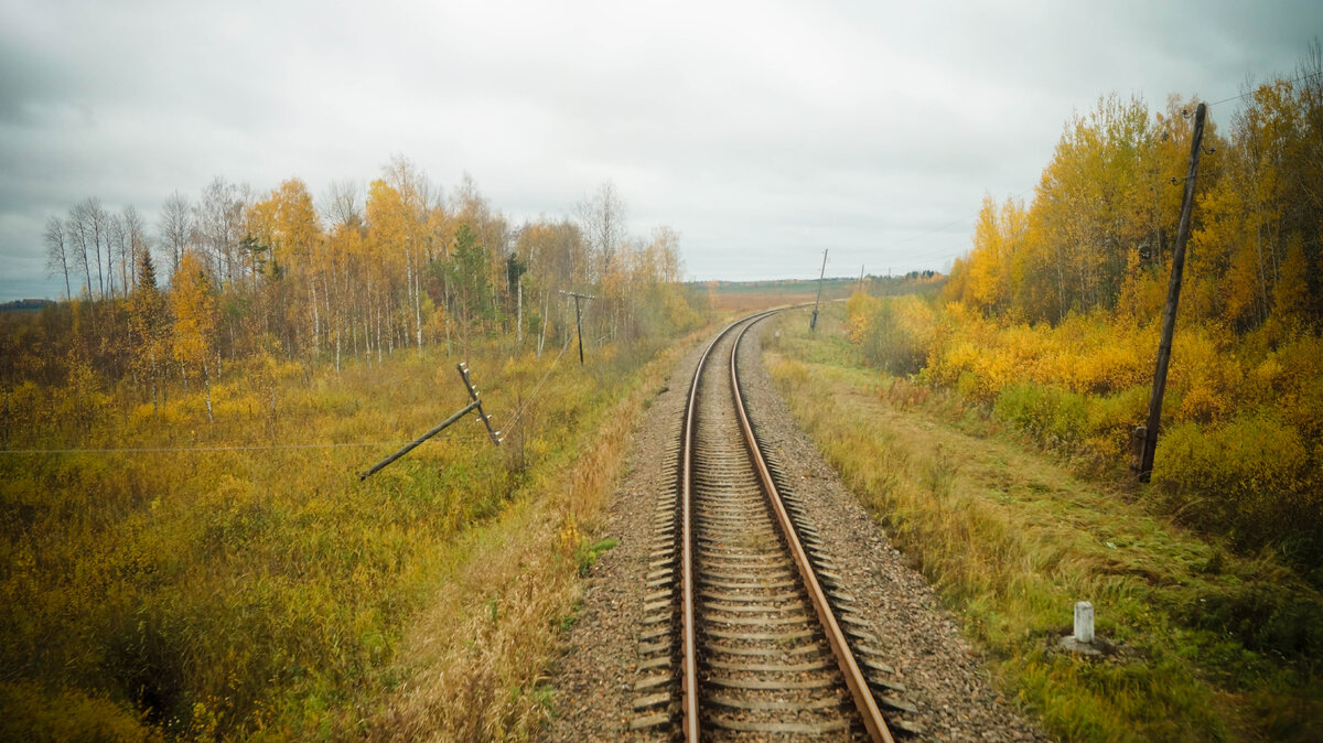 Бологое-Полоцкая железная дорога. Бологое-Полоцкая Железнодорожная линия. Бологое. Горовастица станция.