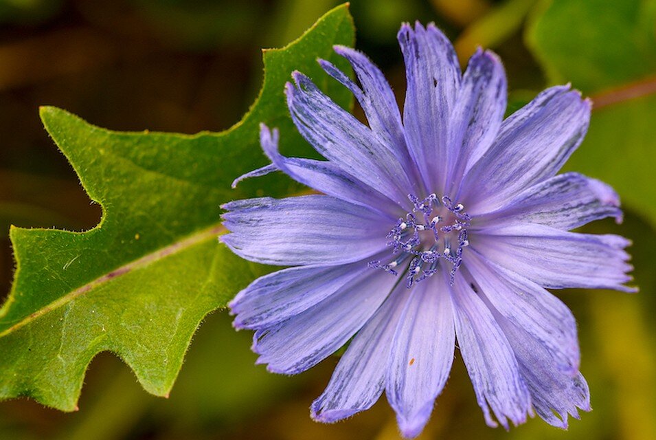 фото: https://s15.stc.all.kpcdn.net/share/i/12/10487865/inx960x640.jpg