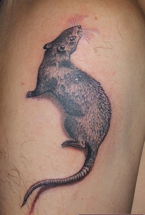 Источник — http://tattooirovki.com/image/10020