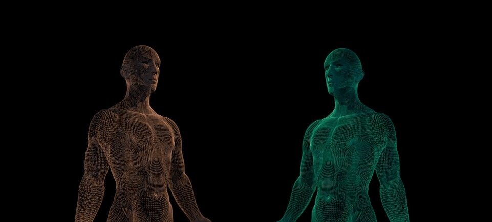 «Y-хромосомный Адам»