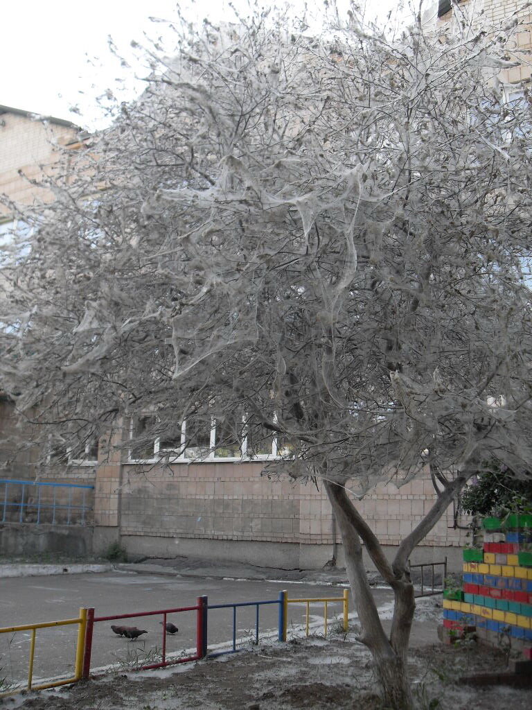 20.06.2019 г.Чита, школа №11