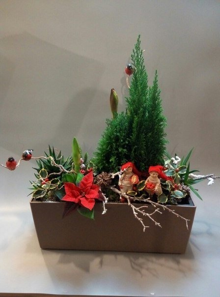 Горшечными цветами удивить ещё можно....