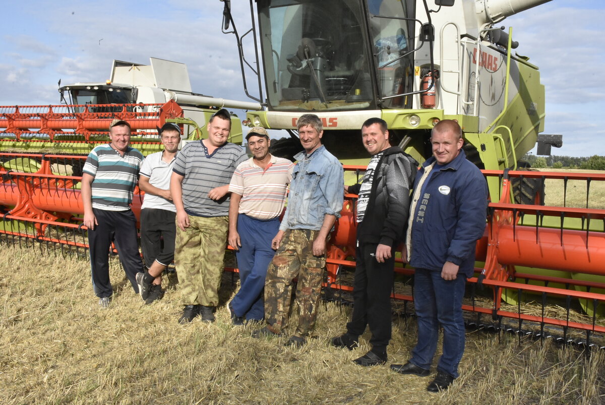 Механизаторы Николай Рязанцев, Александр Ширяев, Александр Бобкин, Александр Тамрян, Александр Дробышев, Виктор Рязанцев и главный агроном Владимир Шибаев