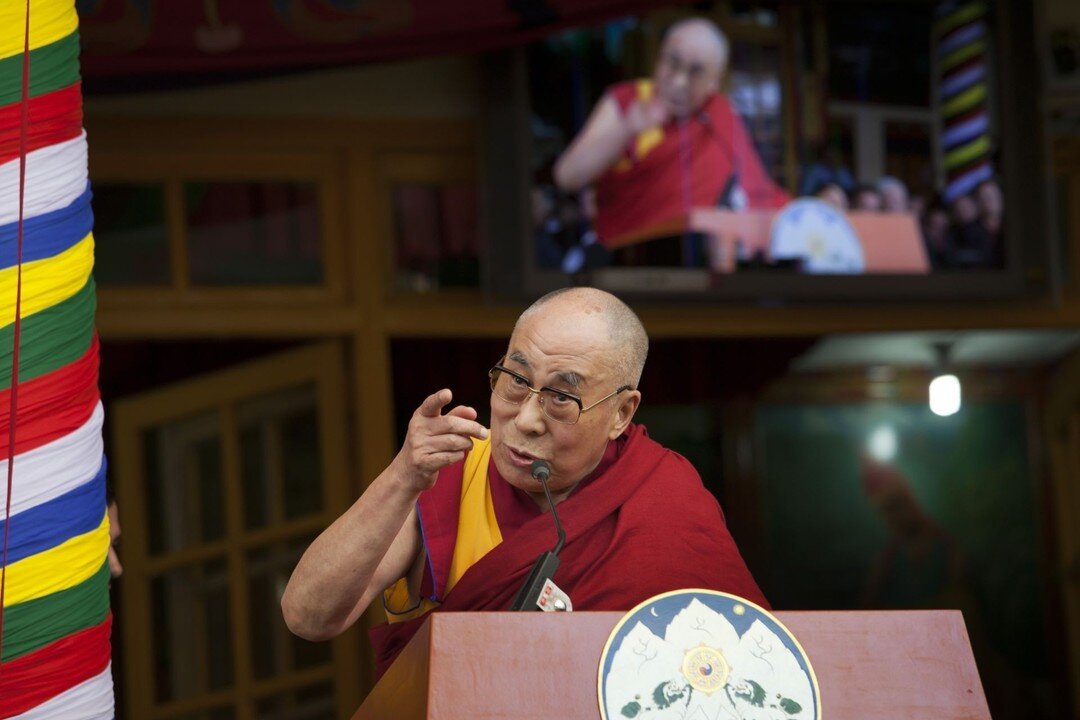 Все фото взяты из открытого источника Яндекс Картинки