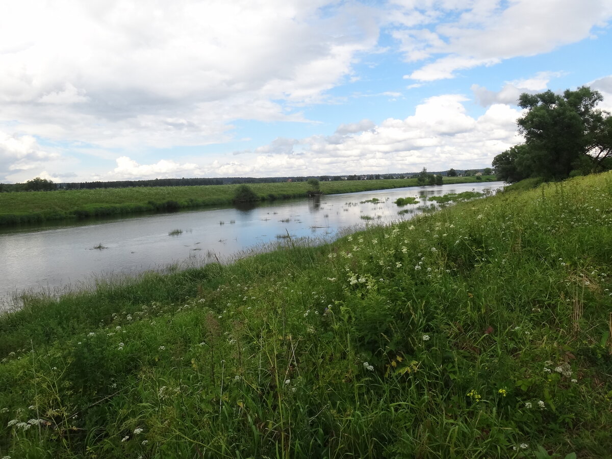 Вот такая она, река Москва в недалекой столичной провинции.