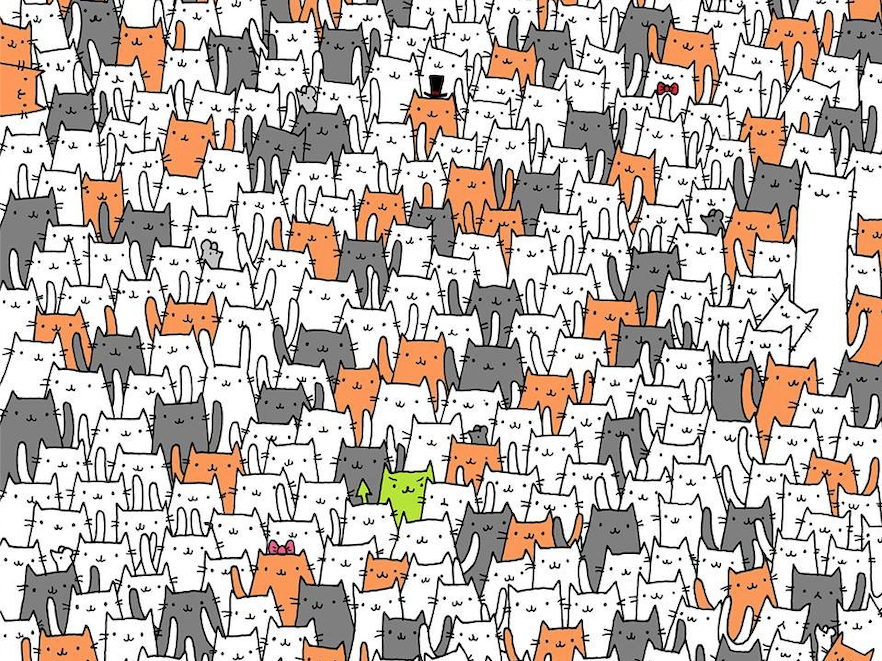 найди мышку ответы. найдите на картинке. головоломка найди. найди кота среди собак. найди мышь в дровах.