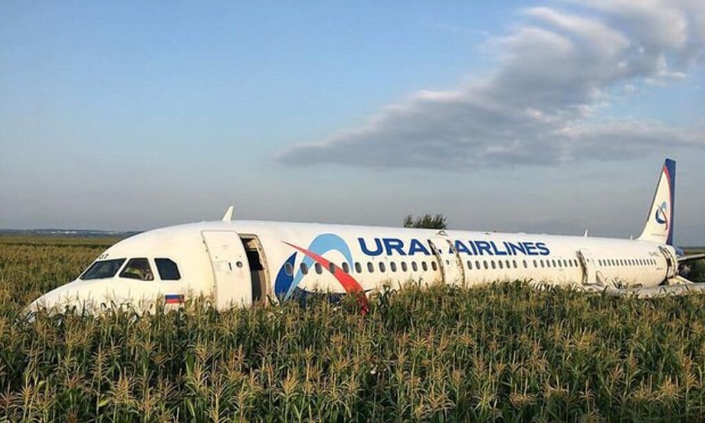 A321 авиакомпании "Уральские авиалинии" на кукурузном поле 