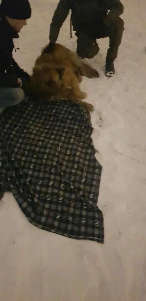 -2