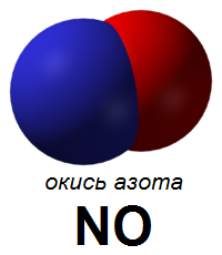 источник фото: http://propionix.ru/