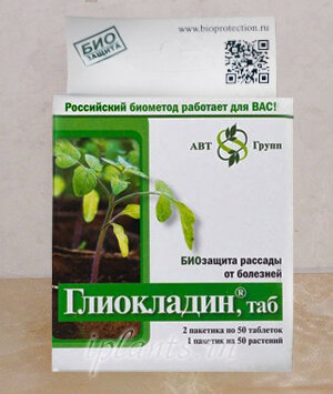 Фото из сети интернет
