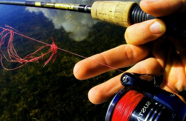 Свою "бороду" сфотографировать ни получилось - не было. Фото/ Яндекс