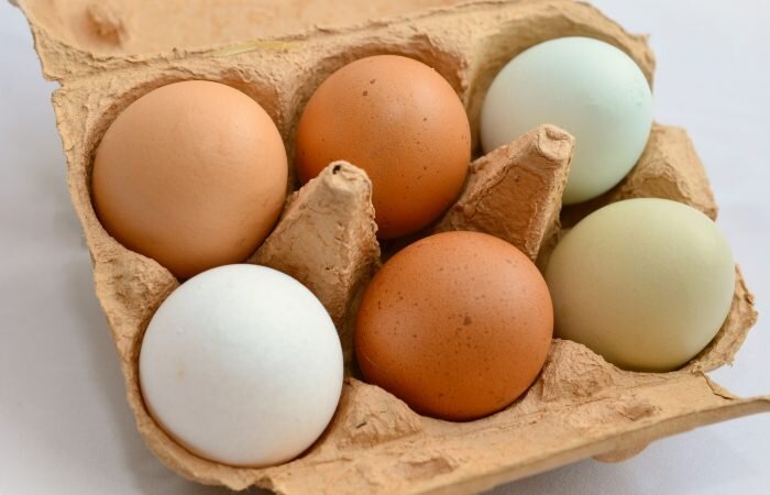 Куриные яйца при диабете: как часто их есть и зачем?