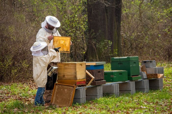 Стоит ли покупать мед, который кристаллизовался и загустел?