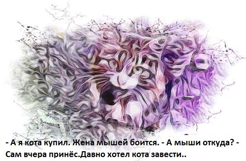 Автор изображения: Интересно Любопытно