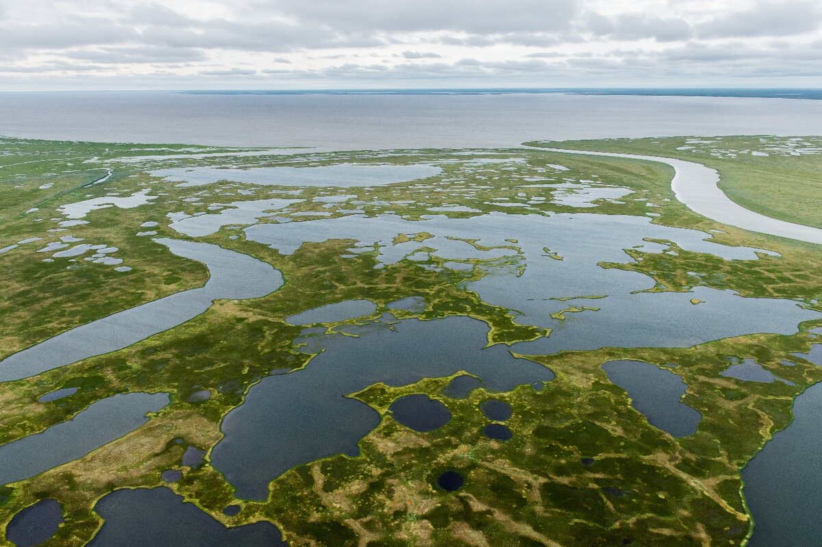 Самые длинные реки земли обь волга. Карское море Обская губа. Река Обь Обская губа. Обская губа Ямал. Остров в Обской губе Карского моря.