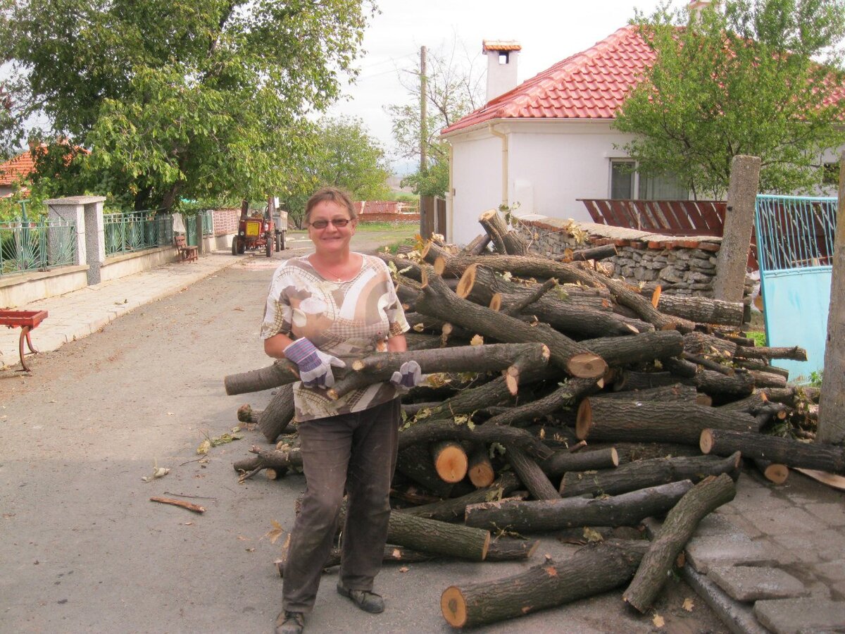 Во дворе трава, на траве дрова