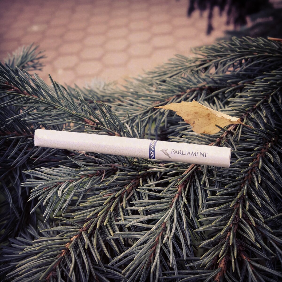 Сигарета Parliament Night Blue