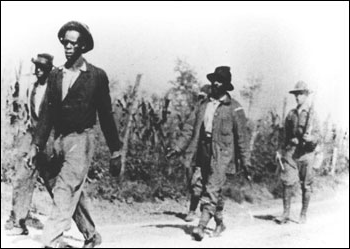 на хлопковые поля