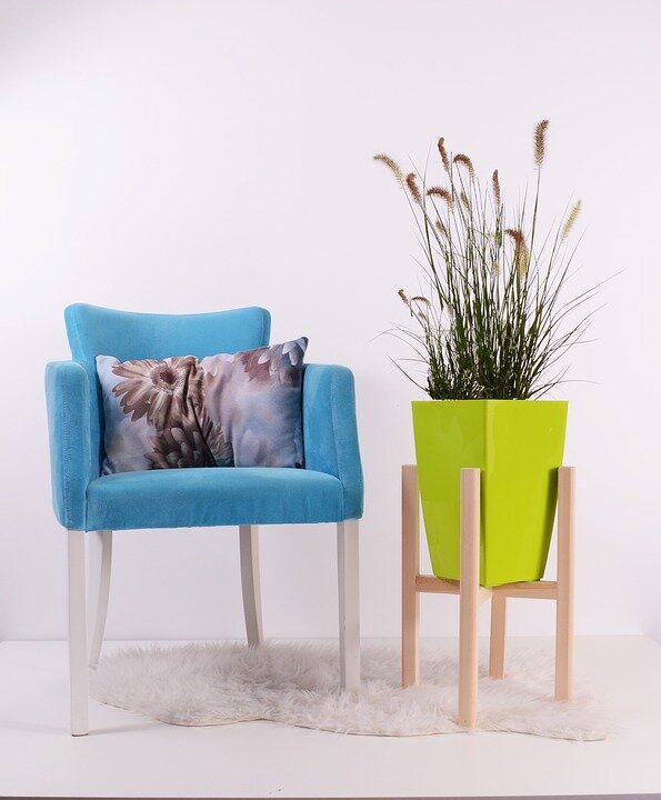 https://pixabay.com/photos/flowerpots-green-grow-chair-pot-2754775/