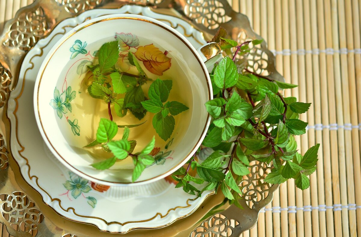 https://cdn.pixabay.com/photo/2017/10/04/13/30/peppermint-2816233_1280.jp