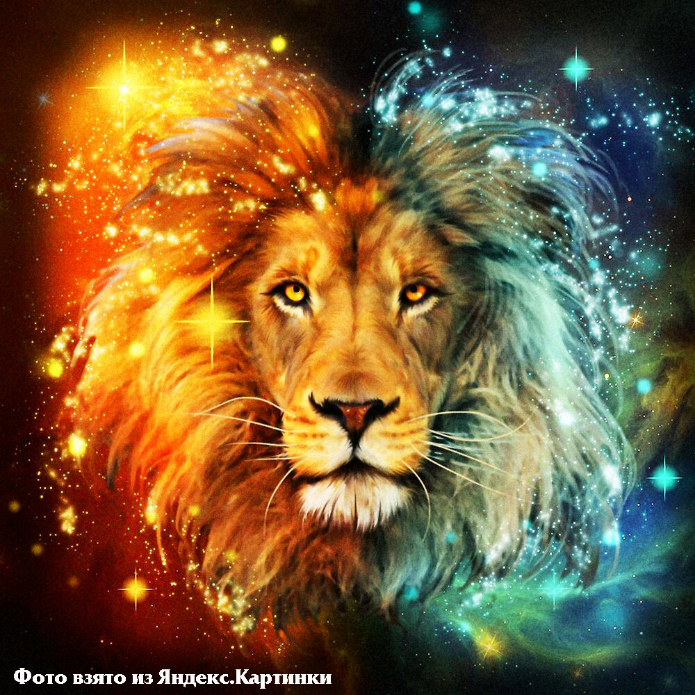 Знак Зодиака, гороскоп, гороскоп на завтра, Лев, работа, отношения, деньги,  оптимизм