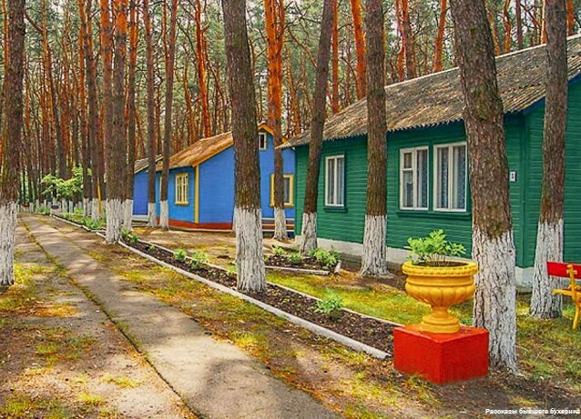 Фото детского лагеря бориса богаткова