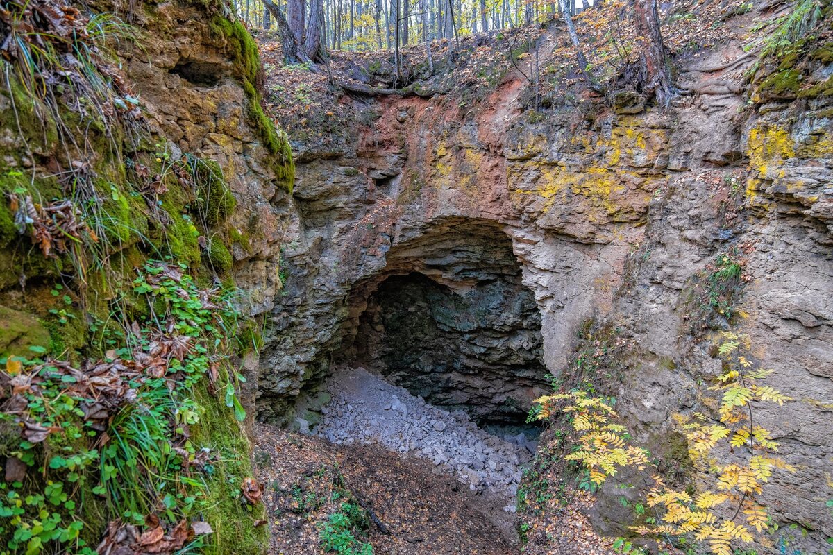 Карта ичалковского бора с пещерами