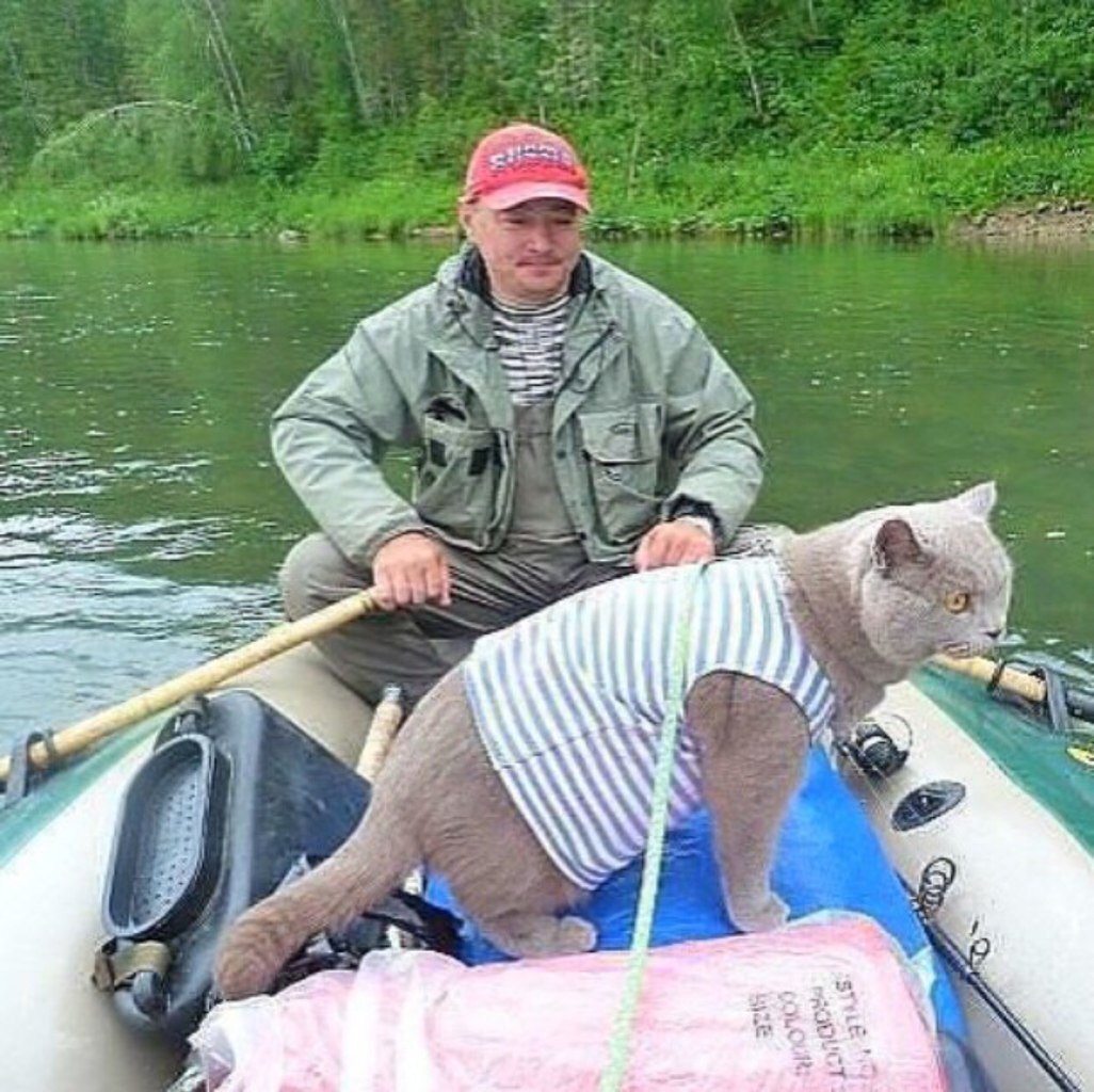 Когда рядом Матроскин , от акулы не надо боятся