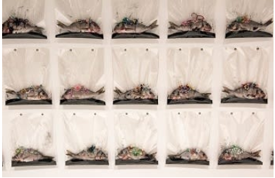 Фото взято с сайта www.cracked.com