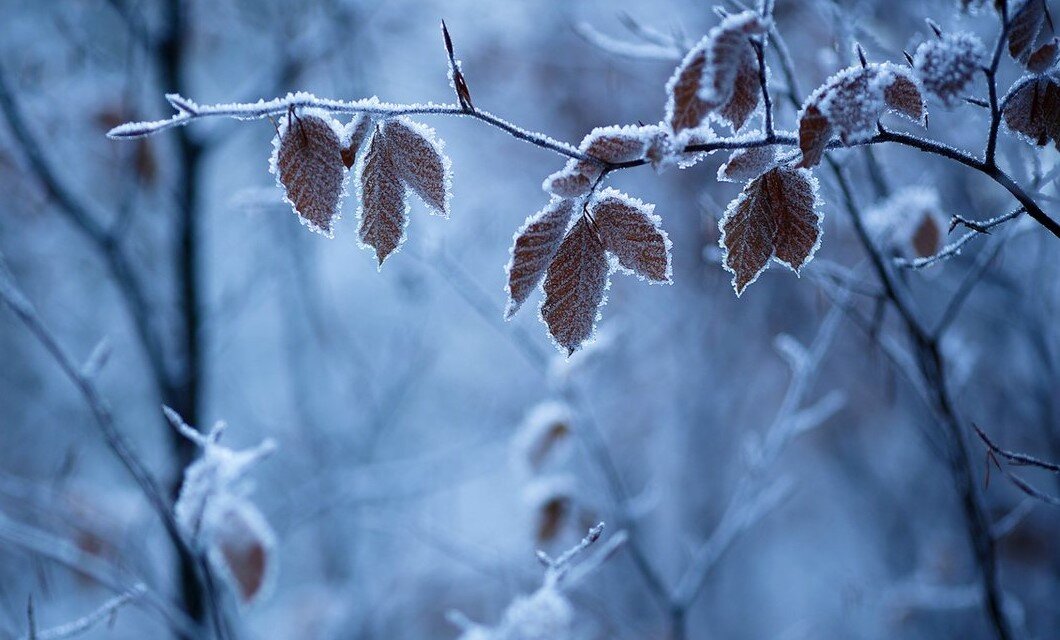 фото яндекс картинки