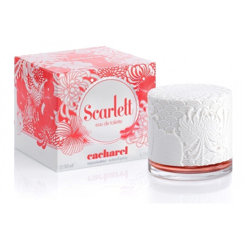 Фото Яндекс картинки