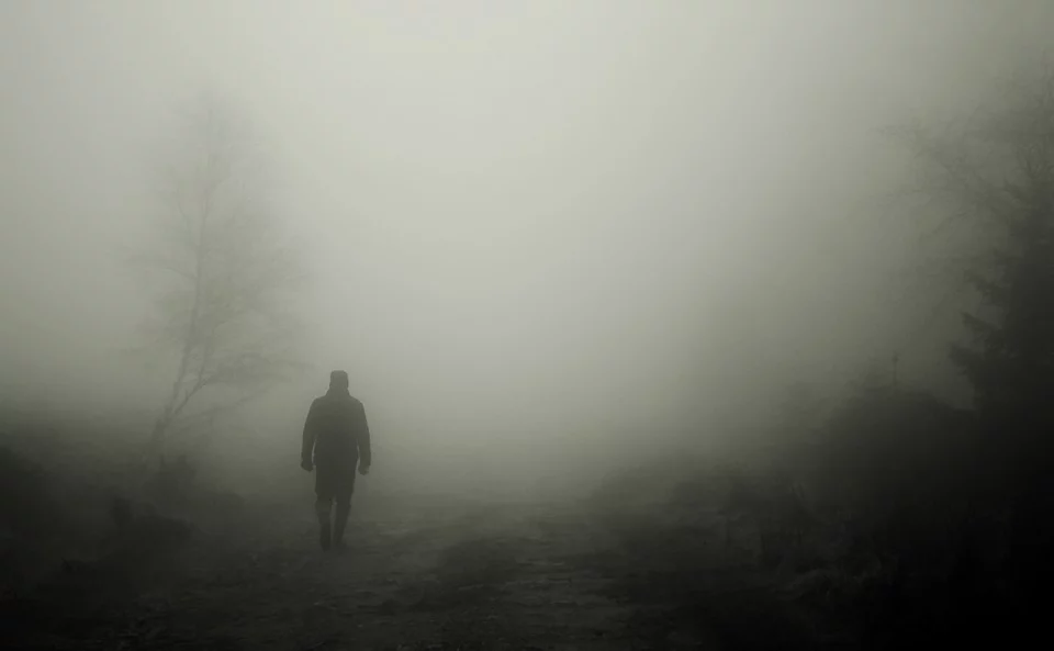 Фото pixabay.com