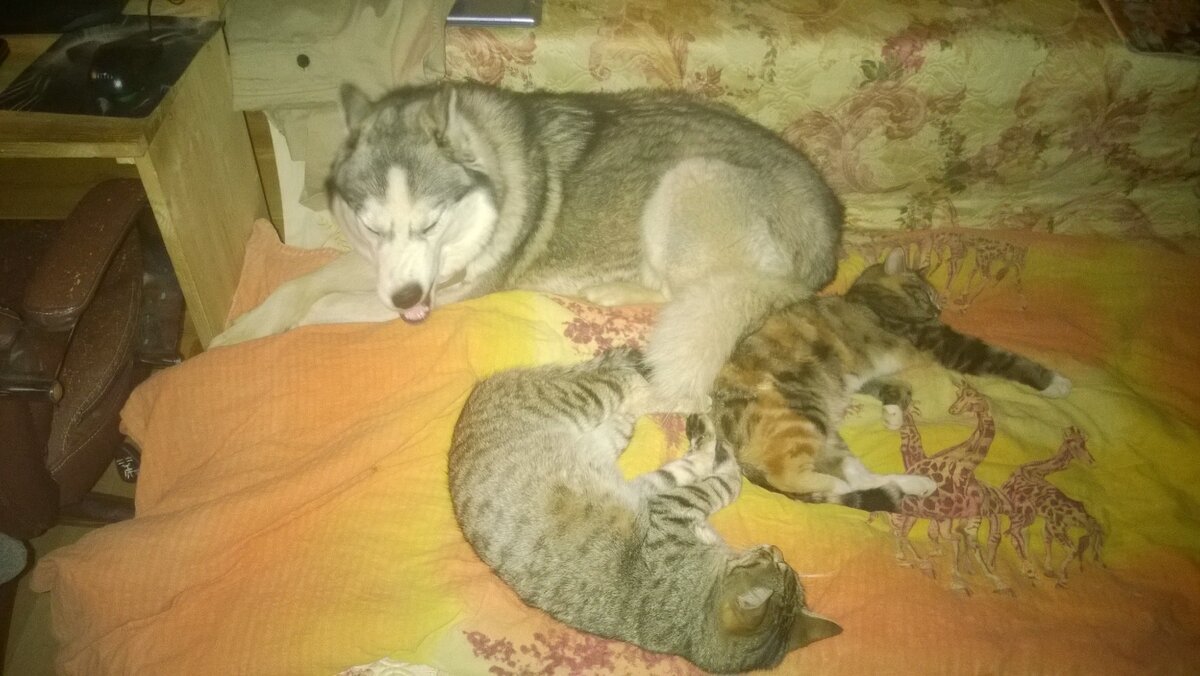 Росли вместе.