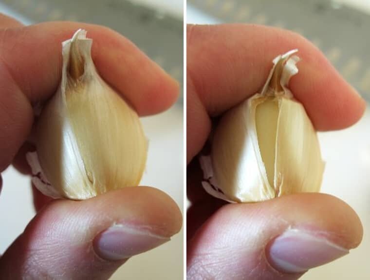 Хитрый способ почистить зубчик чеснока