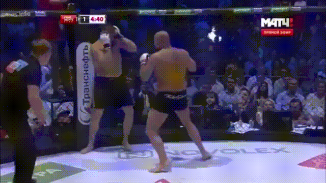 Фабио Мальдонадо vs Федор Емельяненко