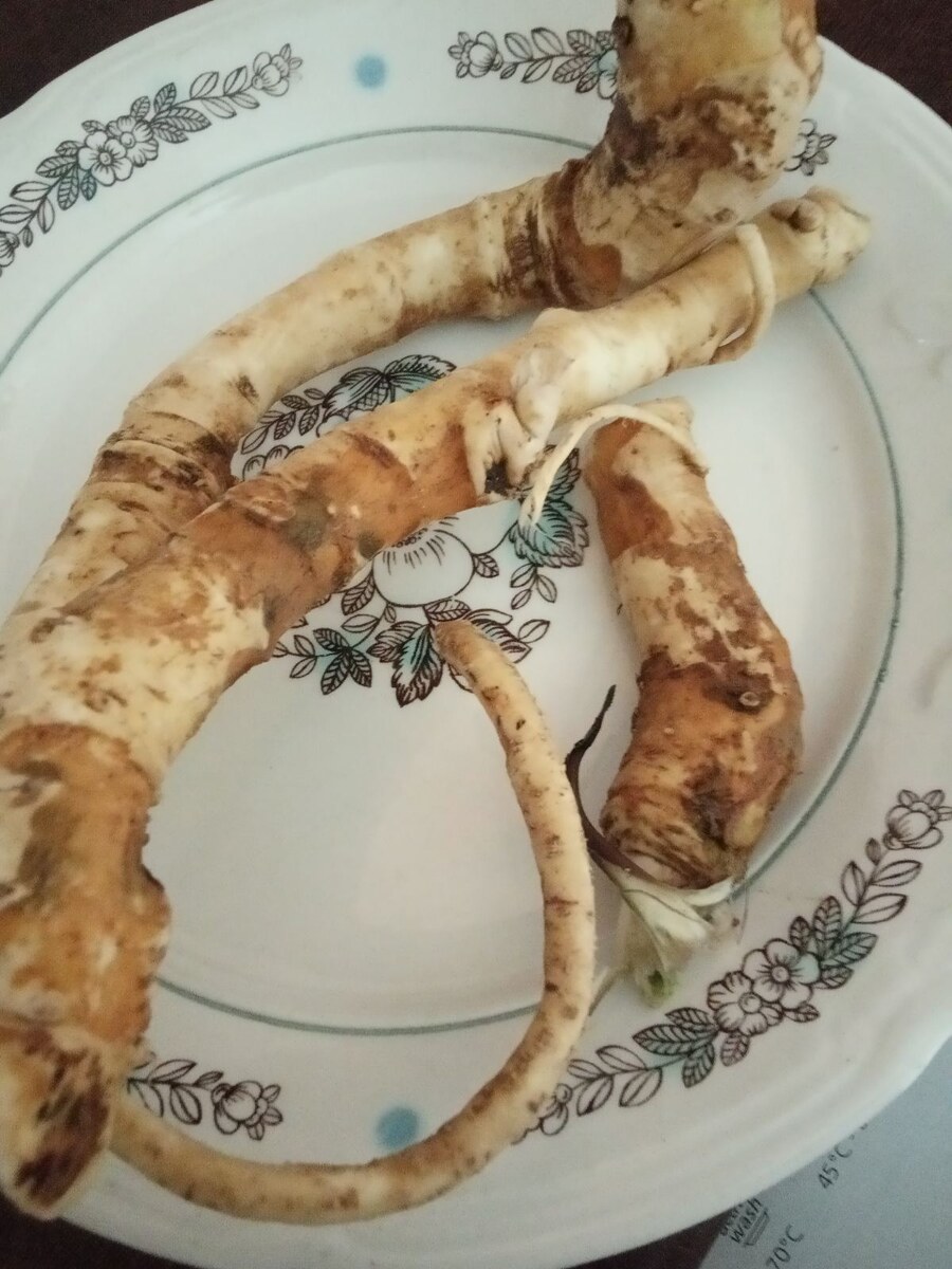 Отмыли  от земли.