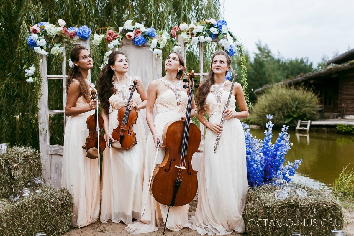 Квартет Октавио на свежем воздухе
