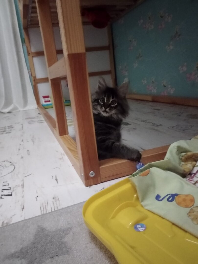 Чуть постарше