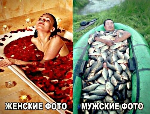 Картинки из Яндекс-картинки.