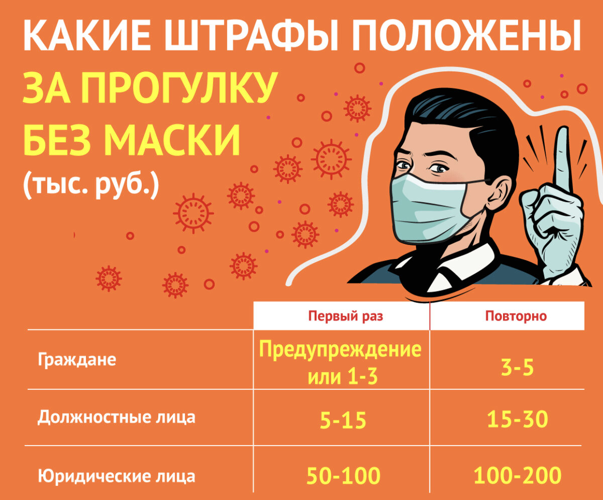 Источник фото: Яндекс 