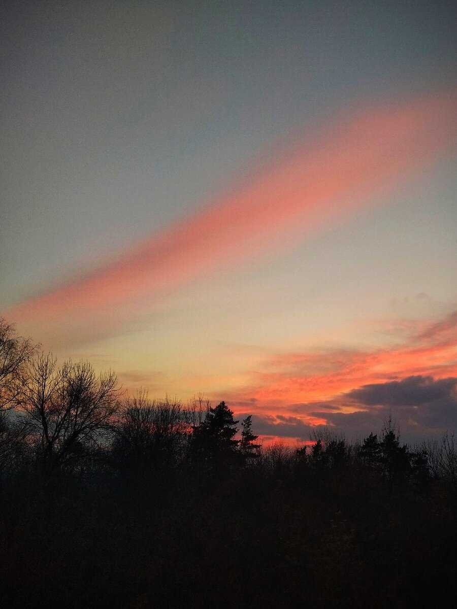 Фото автора. На закате