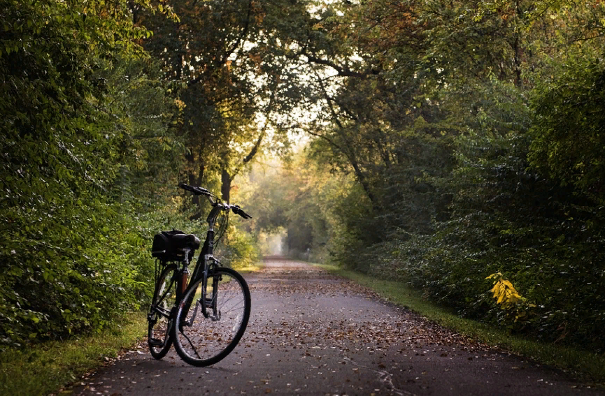 Фото: https://cdn.pixabay.com/photo/2017/09/20/15/49/bike-2769021_960_720.jpg