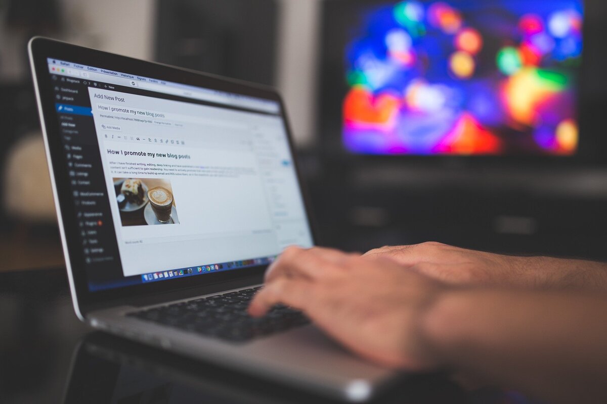 Изображение с сайта https://pixabay.com