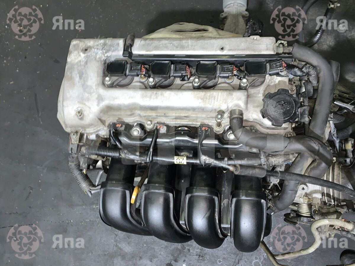 Двигатель 1ZZ-FE Тойота Королла 1.8л